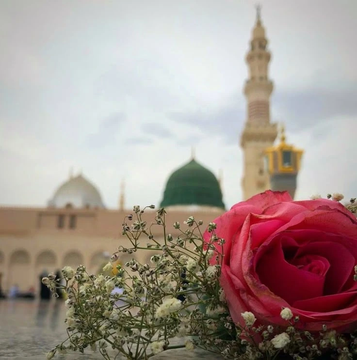 Wo Suye Lala Zar Phirte Hain | Lyrics | Kalam e Ala Hazrat 1 Wo Suye Lala Zar Phirte Hain | Lyrics | Kalam e Ala Hazrat