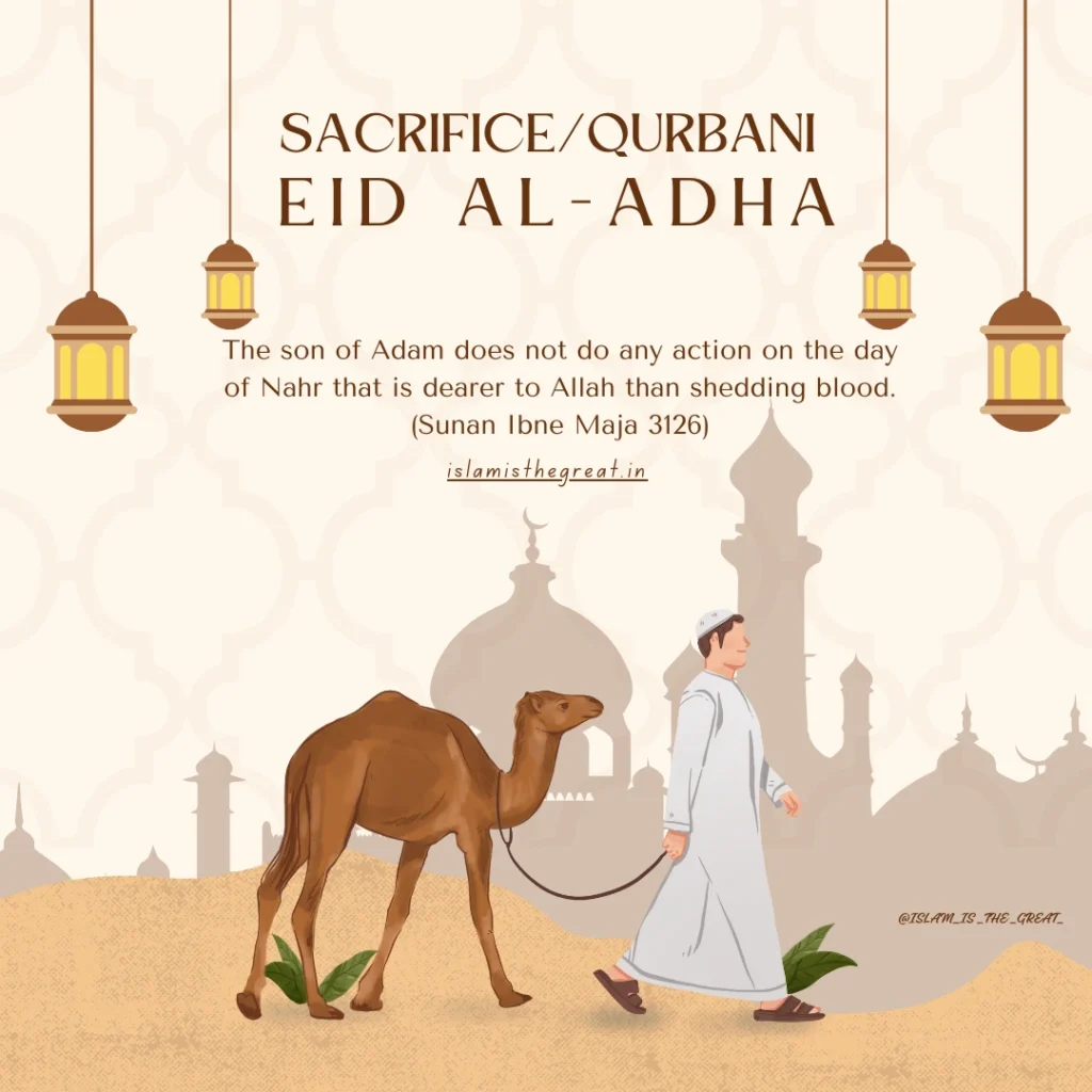 The Sacrifice in Islam | Qurbani | Eid Al Adha | 10 Zil-Hijjah The Sacrifice in Islam | Qurbani | Eid Al Adha | 10 Zil-Hijjah